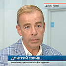 Federal media overview